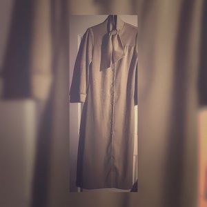 Vintage Caron/Chicago Dress